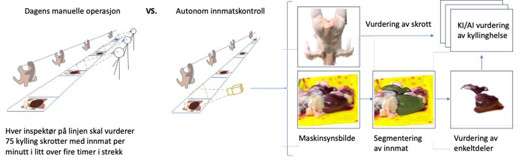 Grafisk fremstilling av prosjektet