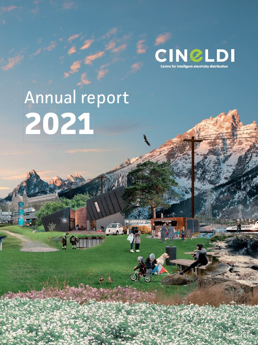 CINELDI 2020 annual report cover