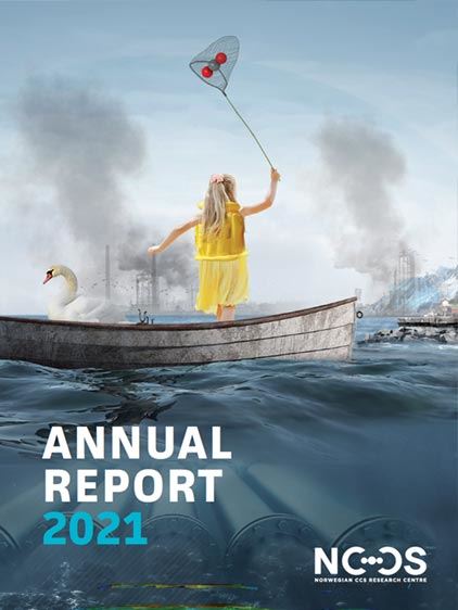 NCCS 2021 annual report cover
