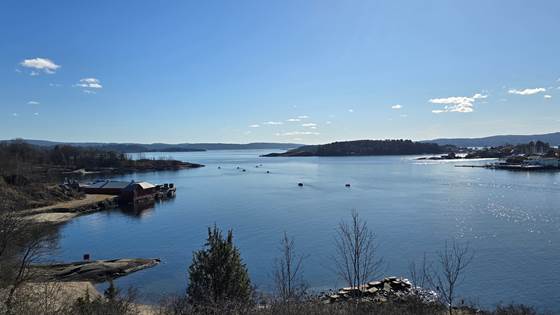 Cleaner water in the Oslo fjord