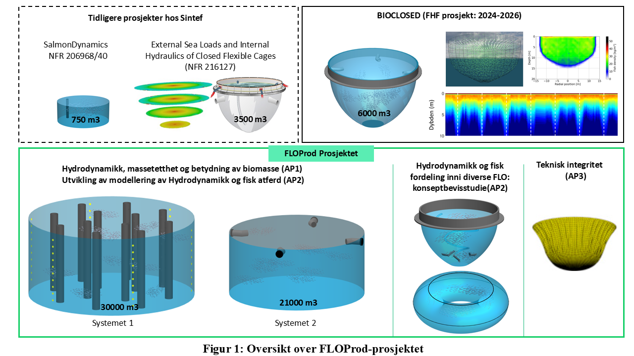 Grafikk som viser oversikt over prosjektet