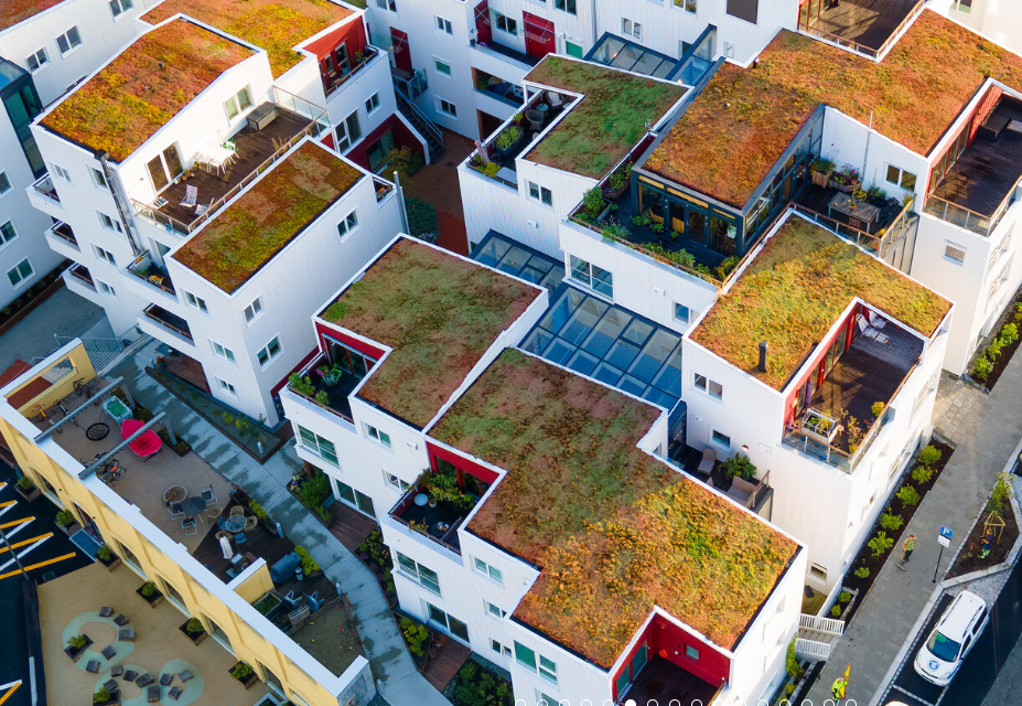 Ny veileder kan gi flere grønne tak