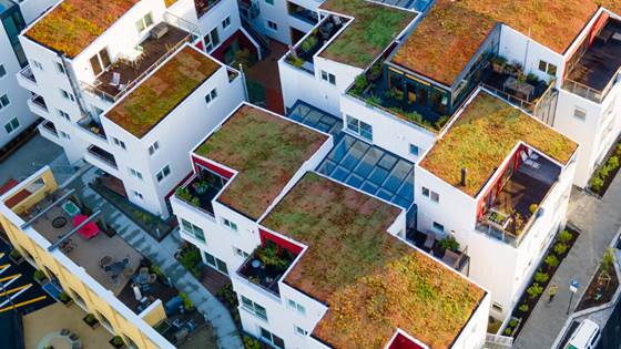 Ny veileder kan gi flere grønne tak