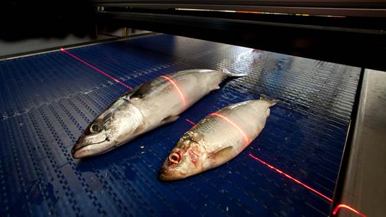 Novel sensors and automation