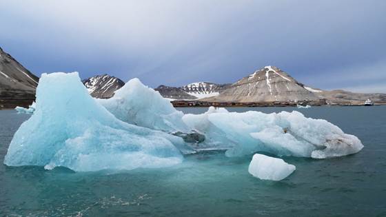 PharmArctic - Kilder, bioakkumulering og alternativer for skadebegrensning fra legemidler i det marine miljøet rundt bosetningene på Svalbard - en tverfaglig tilnærming.