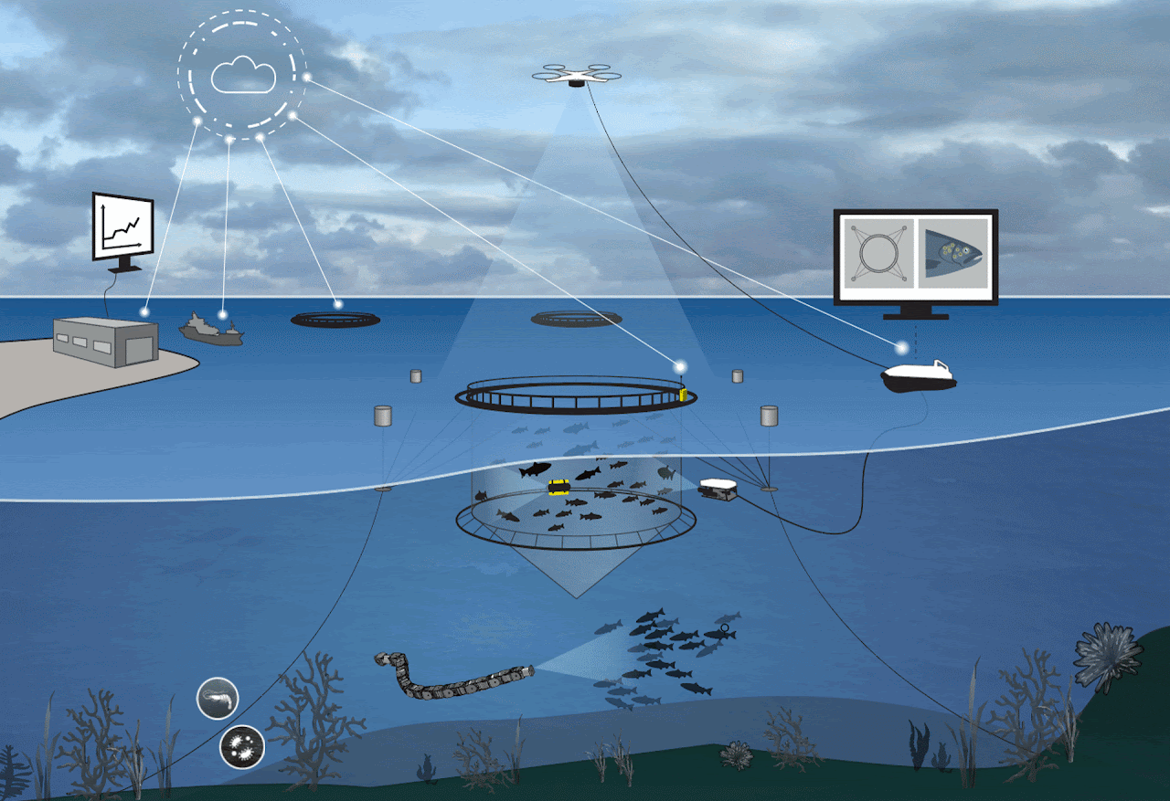 Illustration of robots around a fish cage