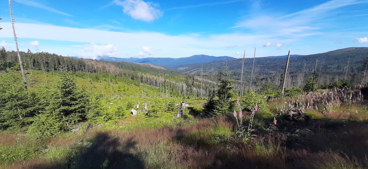 ECO-MOSAIC - Ecosystem Monitoring and Scaling for Climate Change Impacts