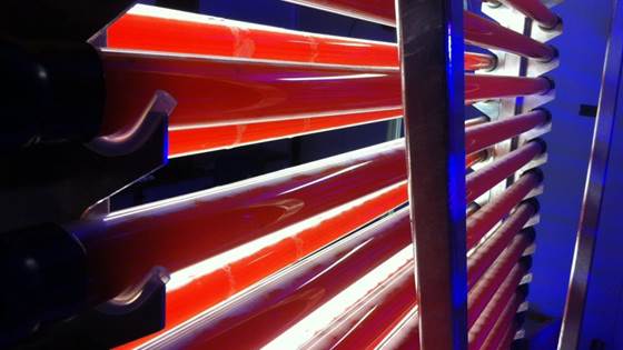 New oil sources for fish feed -MIRA