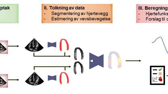 Realistisk ultralydsimulering og kunstig intelligens for evaluering av hjertefunksjon