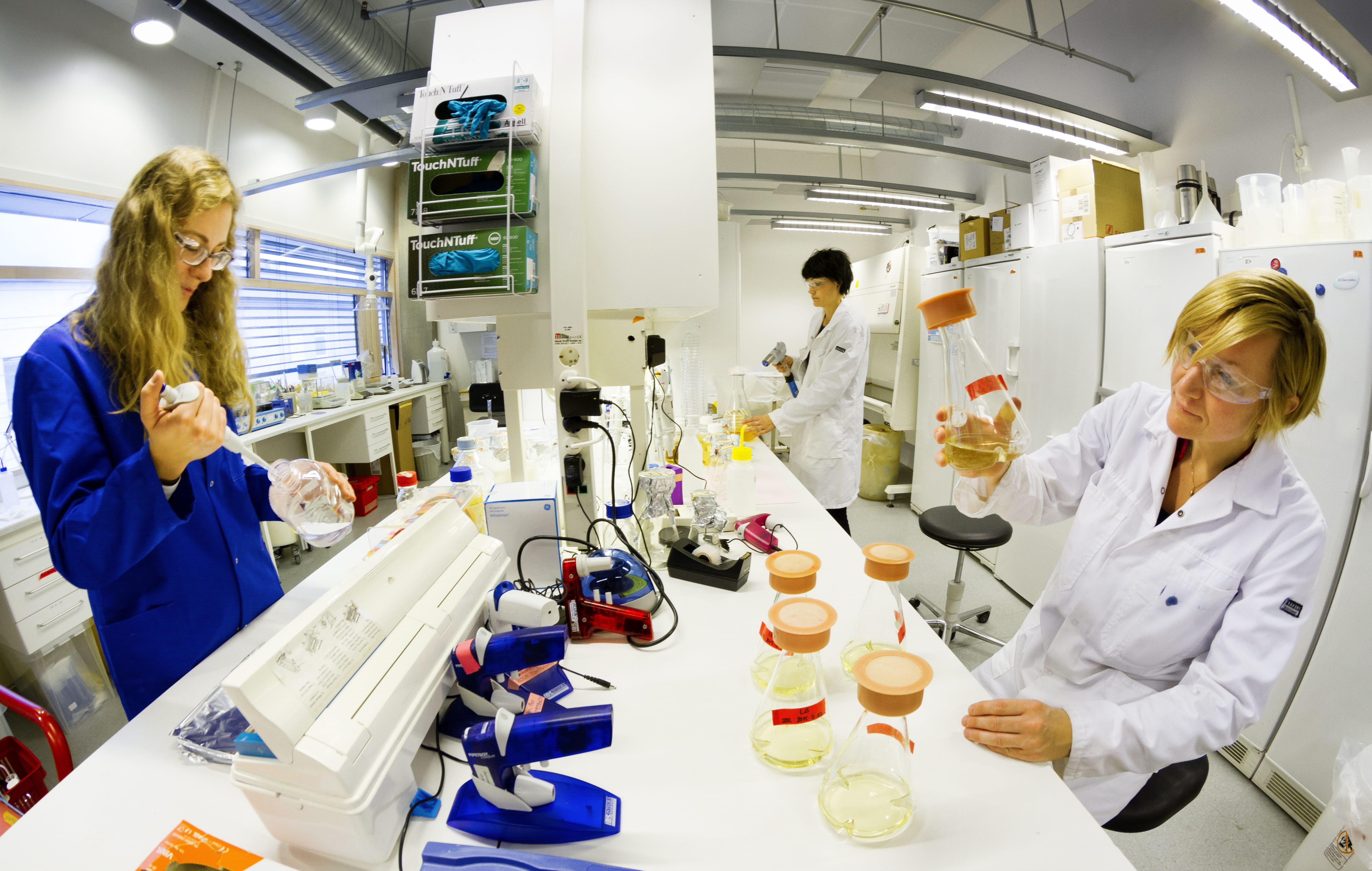 Molecular biology laboratory SINTEF