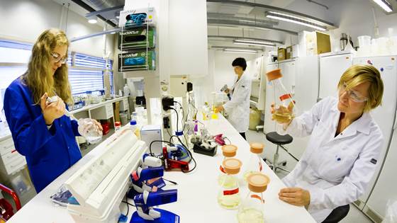 Molecular biology laboratory