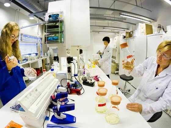 Molecular biology laboratory