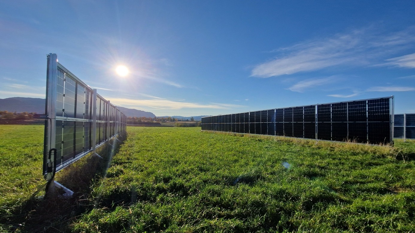 Agrivoltaics: Solar sharing with agriculture
