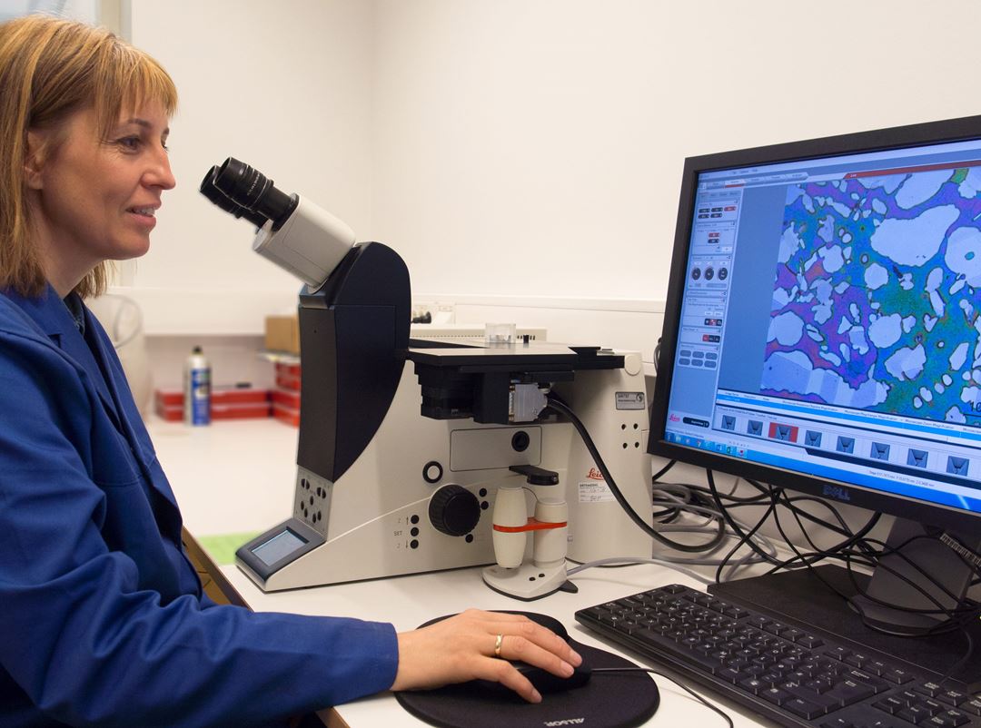 Characterization of microstructures.