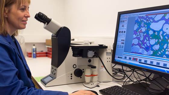 Metallographic characterization laboratory