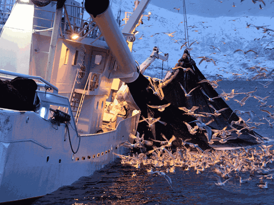 Konkrete tiltak for å redde liv i fiskeflåten