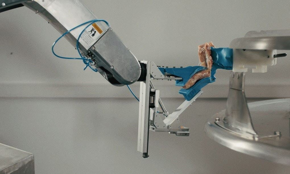 Gribbot - Robotarm som utfører høsting av kyllingfillet