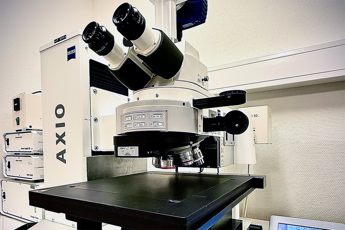 Optisk mikroskopi (lysmikroskopi)