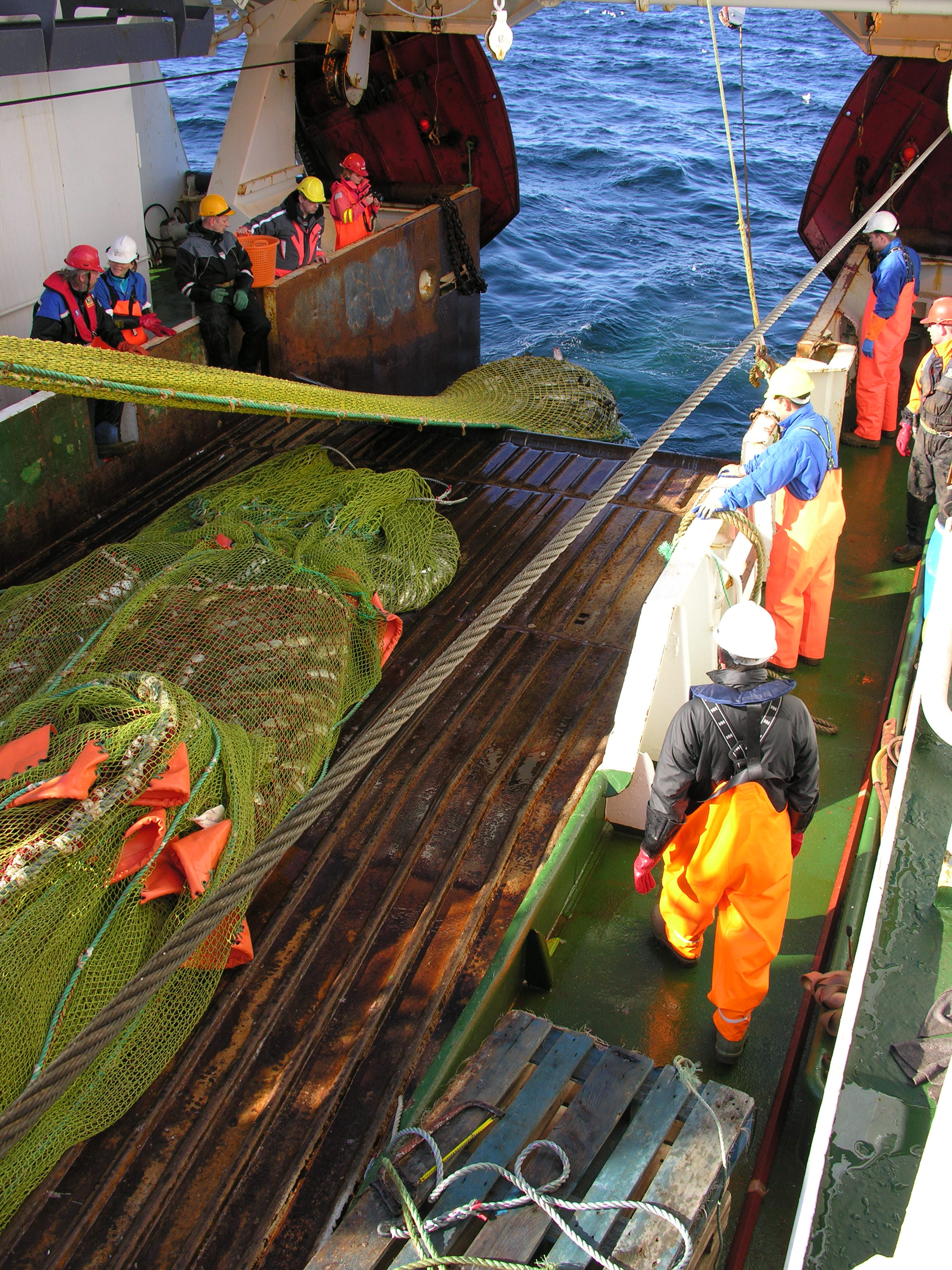 New technology for better catch handling (DANTEQ)