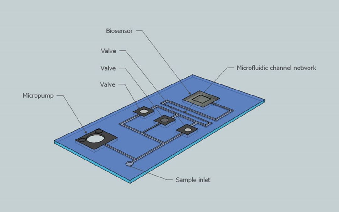 Schematic drawing of a polymer lab-on-a-chip with integrated silicon-based components (micropump, valves, biosensor). 