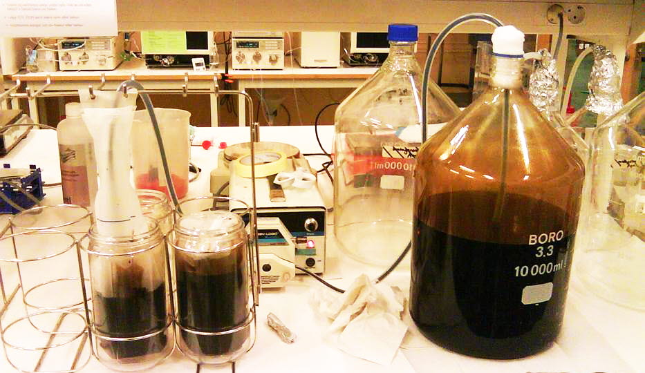 Urgamle mikrober med stort industripotensial