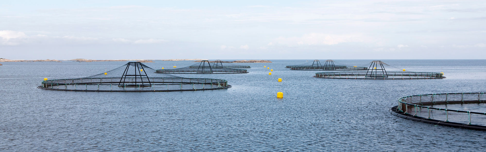 Fish cages at sea.