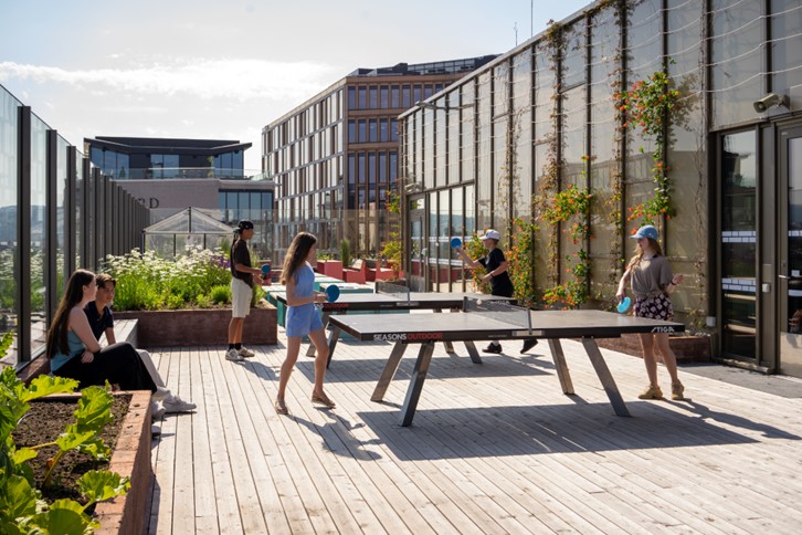 SINTEF med nye råd for utforming av grunnskoler