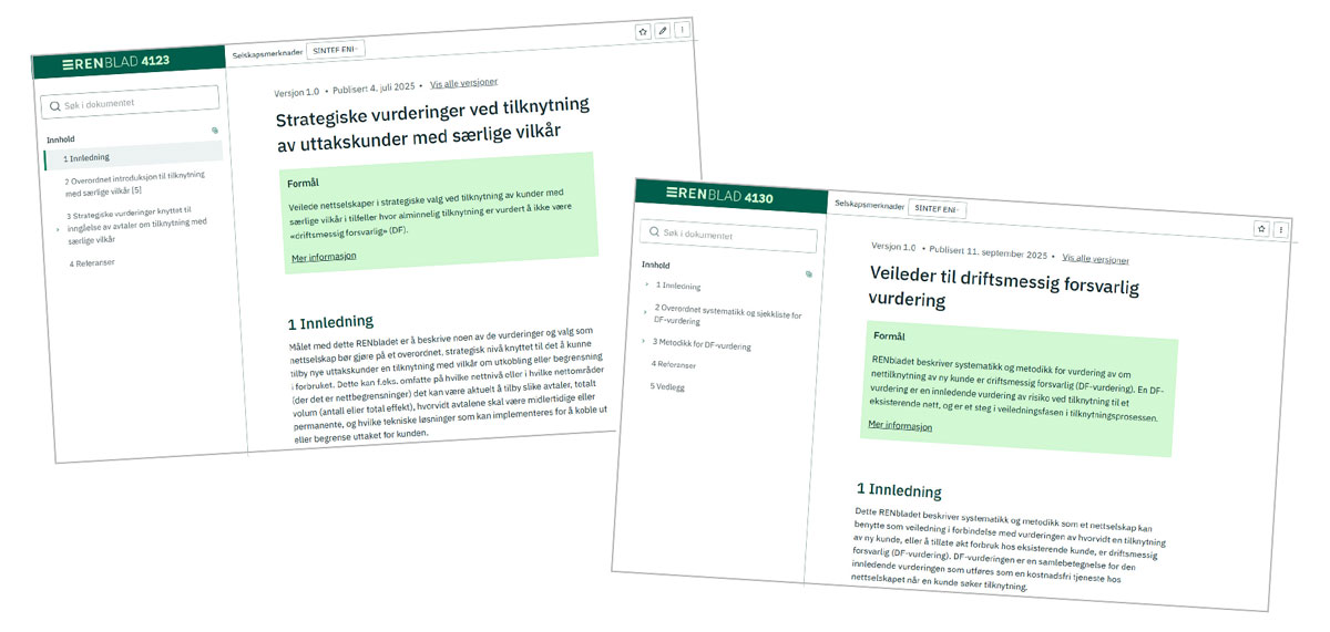 skjermbilder av RENbladene