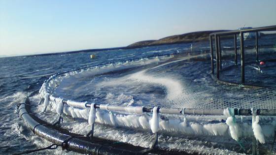 Møte om MAROFF programmet