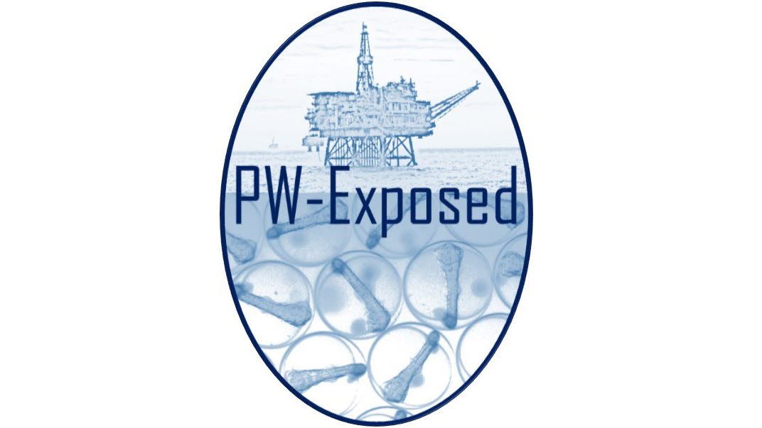 Project logo