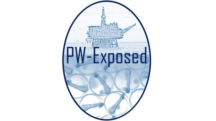 PW-Exposed