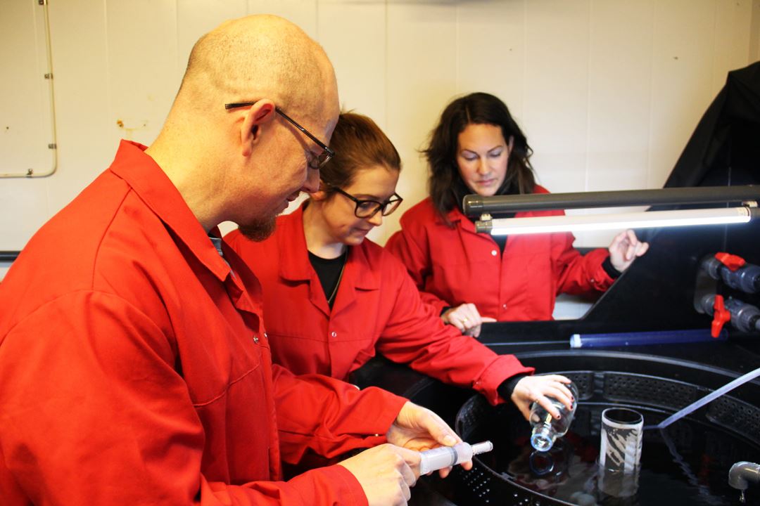 Bilde av forskere som tar vannprøver