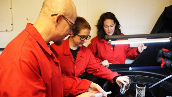 Program for overvåking av microbiota i oppdrett (MonMic)