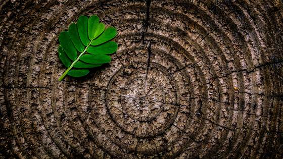 Enhanced capacity on Circular Economy
