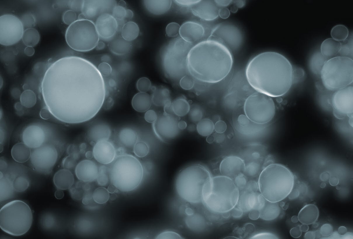 SIP TER project, SINTEF