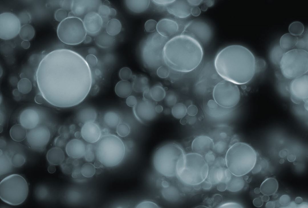 SIP TER Tailored Encapsulation And Release SINTEF