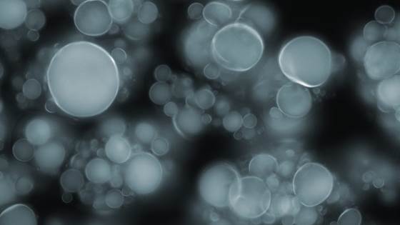 SIP TER: Tailored encapsulation and release