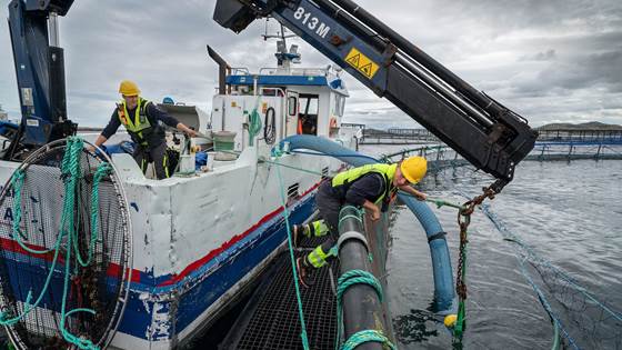 Skal gjøre havbruksnæringen bedre rustet ved ulykker og kritiske miljøhendelser