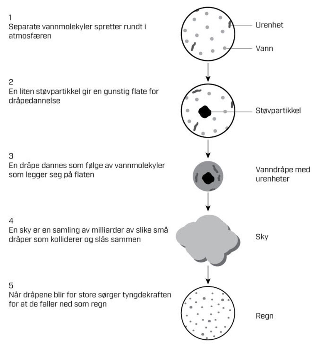 Stegvis beskrivelse av den vanligste mekanismen for dannelse av regndråper.