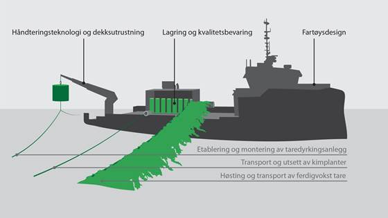 Taredyrkingsfartøy 2020