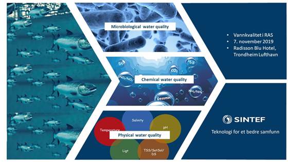 Vannkvalitet i RAS - The bad ones and the good ones