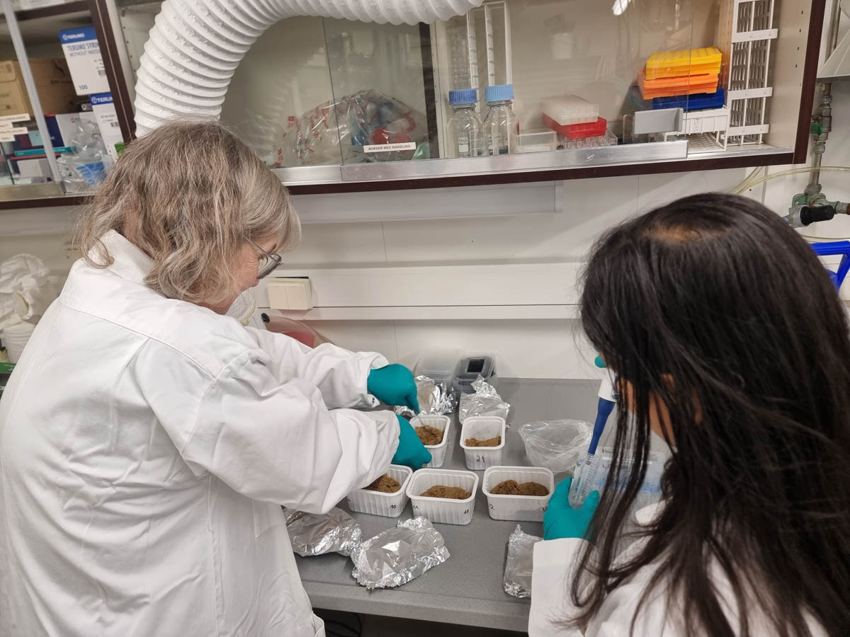 Two scientists bent over petri dishes.
