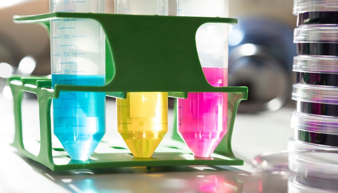 REFINE - Regulatory Science Framework for Nano(bio)material-based ...