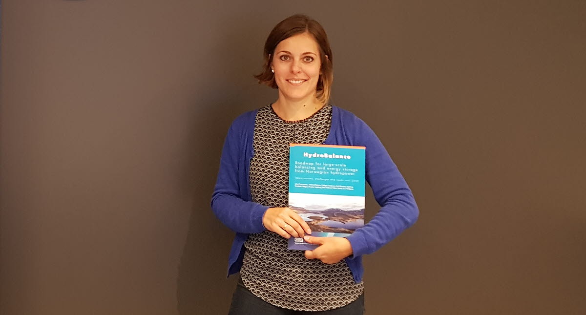 This is how Norway can become Europe’s battery