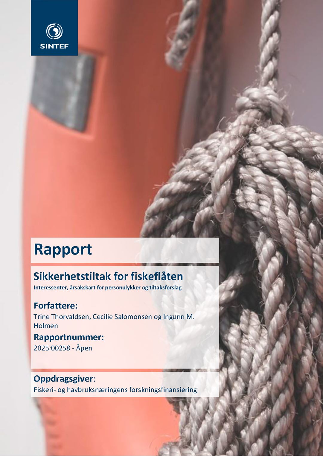 Thumbnail av rapportforside