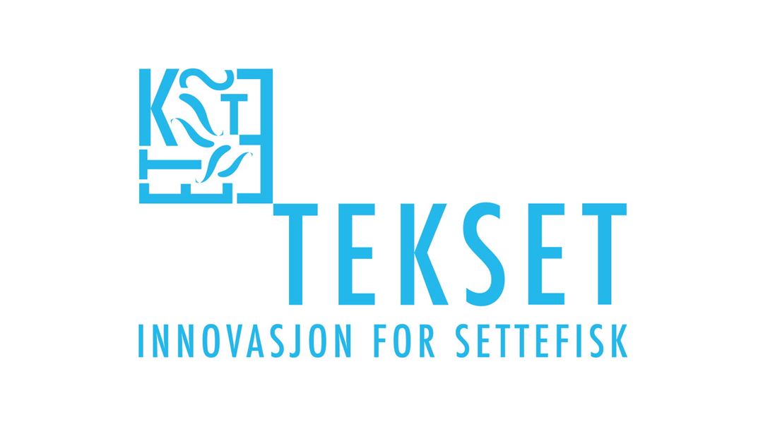 TEKSET logo