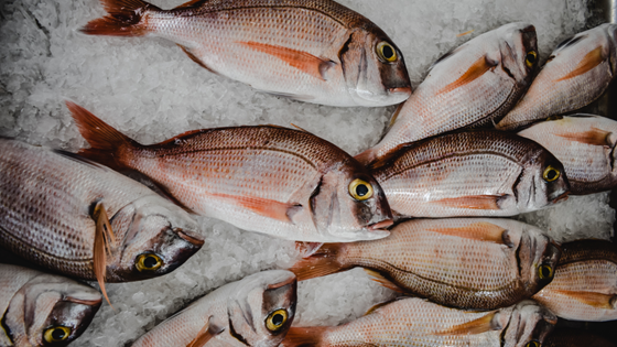 Towards sustainable seafood supply chain in India