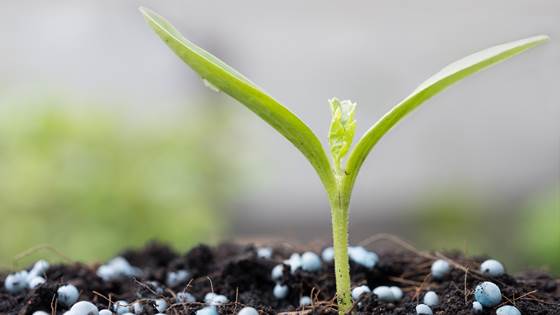 Farmers can produce their own fertilizer and e-fuels with new technology