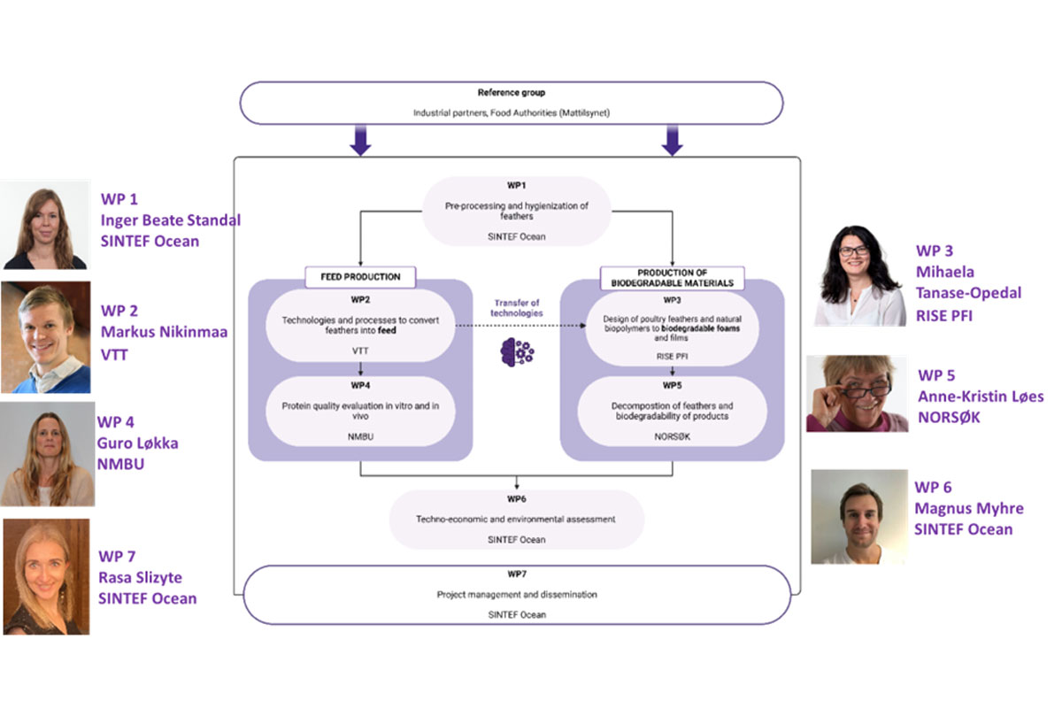 Schematic overview over the project's organisation.