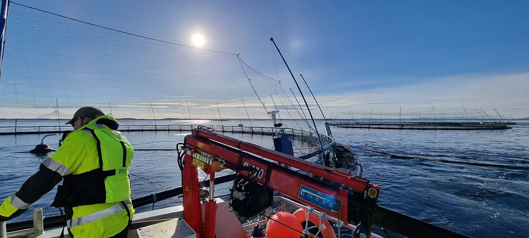 Mann i gule verneklær studerer en havmerd